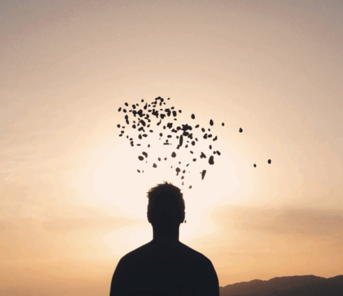 飛蚊症の9割は改善する