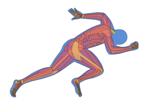 症状を繰り返さないために大切なこと！